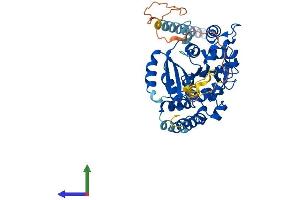 AlphaFold protein structure predicition of Human Recombinant GXYLT1 Protein, UniprotID Q4G148