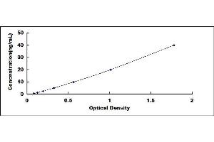 Typical standard curve (CRYAB ELISA Kit)