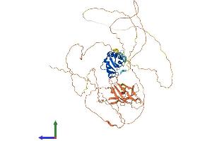 Protein Structure (PS) image for E74-Like Factor 2 (Ets Domain Transcription Factor) (ELF2) (AA 1-593) protein (His tag) (ABIN7547377)