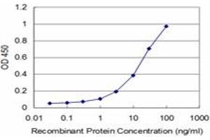 Detection limit for recombinant GST tagged PBX3 is approximately 3ng/ml as a capture antibody. (PBX3 antibody  (AA 342-434))
