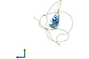 Protein Structure (PS) image for Wilms Tumor 1 Interacting Protein (WTIP) (AA 1-430) protein (His tag) (ABIN7556032)