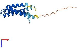 AlphaFold protein structure predicition of Human Recombinant KRTCAP2 Protein, UniprotID Q8N6L1 (KRTCAP2 Protein (AA 1-136) (His tag))