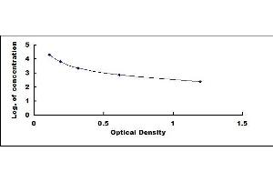 Typical standard curve (MBP ELISA Kit)