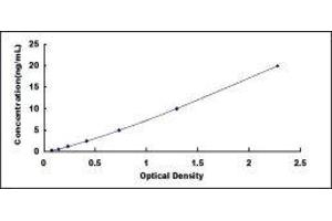 Typical standard curve (QSOX1 ELISA Kit)