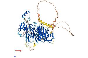 DDB1 and CUL4 Associated Factor 15 (DCAF15) (AA 1-600) protein (His tag)