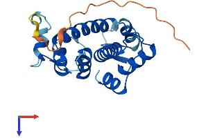 SRI Protein (AA 1-198) (His tag)
