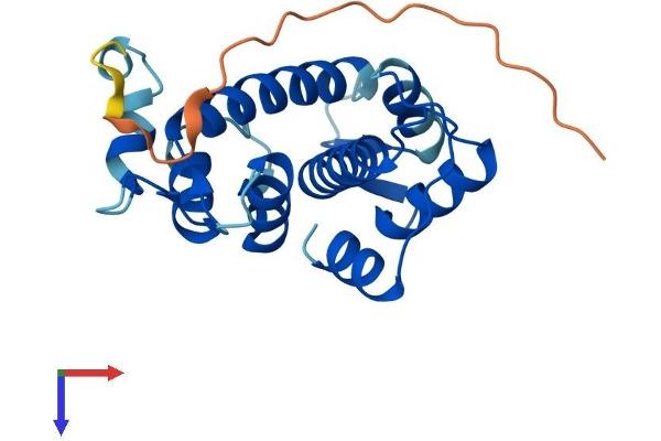 SRI Protein (AA 1-198) (His tag)