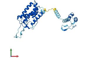 AlphaFold protein structure predicition of Human Recombinant PI4KAP1 Protein, UniprotID Q8N8J0 (PI4KAP1 Protein (AA 1-262) (His tag))