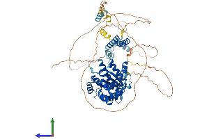 Protein Structure (PS) image for Fidgetin-Like 1 (FIGNL1) (AA 1-683) protein (His tag) (ABIN7558809)