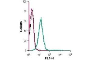 Cell surface detection of ZIP6 in live intact human Jurkat T-cell leukemia cells: (black line) Cells. (SLC39A6 antibody  (Extracellular, N-Term))