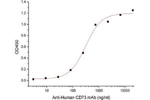 ELISA image for 5'-Nucleotidase, Ecto (CD73) (NT5E) (Active) protein (Fc Tag) (ABIN7319798) (CD73 Protein (Fc Tag))