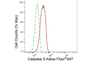 Flow cytometric analysis of Caspase 5 expression in HT- cells using Caspase 5 antibody (ABIN7797897), 1:2,000). (Recombinant CASP5 antibody)
