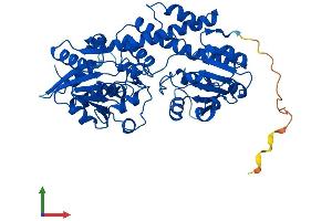 AlphaFold protein structure predicition of Human Recombinant UGDH Protein, UniprotID O60701 (UGDH Protein (AA 1-494) (His tag))