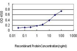 Detection limit for recombinant GST tagged FHIT is approximately 0. (FHIT antibody  (AA 31-130))