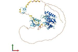 AlphaFold protein structure predicition of Human Recombinant LENG9 Protein, UniprotID Q96B70 (LENG9 Protein (AA 1-501) (His tag))
