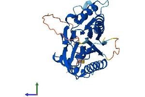 AlphaFold protein structure predicition of Mouse Recombinant Pptc7 Protein, UniprotID Q6NVE9 (PPTC7 Protein (AA 1-310) (His tag))