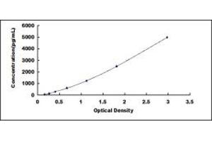 GDF2 ELISA Kit