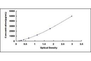 GDF2 ELISA Kit