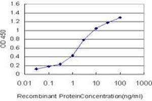 Detection limit for recombinant GST tagged MYPN is approximately 0. (Myopalladin antibody  (AA 61-170))