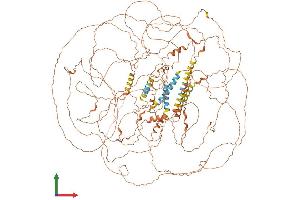 AlphaFold protein structure predicition of Human Recombinant SPATA31A5 Protein, UniprotID Q5VU36 (FAM75A5 Protein (AA 1-1347) (His tag))