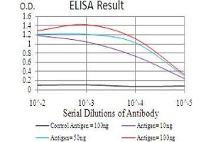 Fig. (THAP1 antibody  (AA 1-213))