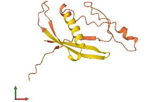 AlphaFold protein structure predicition of Human Recombinant C12orf76 Protein, UniprotID Q8N812 (C12ORF76 Protein (AA 1-135) (His tag))