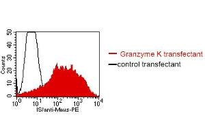 FACS analysis of BOSC23 cells using C3. (GZMK antibody)