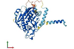 AlphaFold protein structure predicition of Mouse Recombinant B3galt4 Protein, UniprotID Q9Z0F0