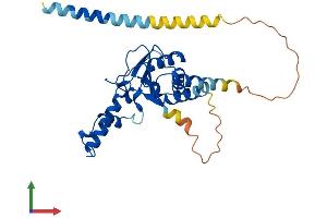 AlphaFold protein structure predicition of Human Recombinant NUS1 Protein, UniprotID Q96E22 (Nogo B Receptor Protein (NUS1) (AA 1-293) (His tag))
