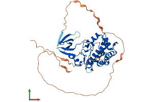 AlphaFold protein structure predicition of Mouse Recombinant Trib1 Protein, UniprotID Q8K4K4