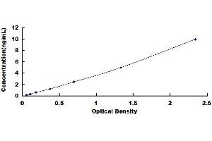 Typical standard curve (SIK2 ELISA Kit)