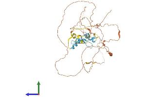 AlphaFold protein structure predicition of Mouse Recombinant Sp7 Protein, UniprotID Q8VI67 (SP7 Protein (AA 1-428) (His tag))