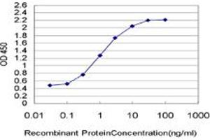 Detection limit for recombinant GST tagged PWP1 is approximately 0. (PWP1 antibody  (AA 1-501))