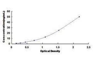Carboxypeptidase A3 (Mast Cell) (CPA3) ELISA Kit