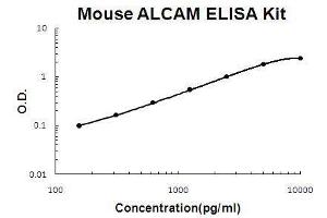 Mouse ALCAM PicoKine ELISA Kit standard curve (CD166 ELISA Kit)