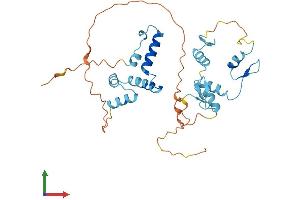 AlphaFold protein structure predicition of Human Recombinant ZNF444 Protein, UniprotID Q8N0Y2