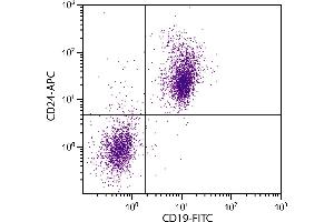 C57BL/6 mouse splenocytes were stained with Rat Anti-Mouse CD24-APC. (CD24 antibody  (APC))