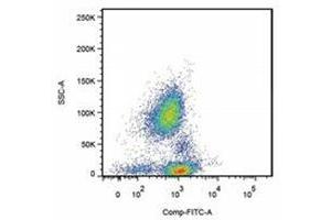 Flow Cytometry (FACS) image for anti-Selectin P Ligand (SELPLG) antibody (ABIN400881) (SELPLG antibody)