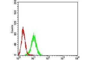 Flow cytometric analysis of K562 cells using TIGIT mouse mAb (green) and negative control (red). (TIGIT antibody  (AA 22-141))