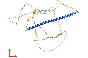 AlphaFold protein structure predicition of Mouse Recombinant Fosb Protein, UniprotID P13346 (FOSB Protein (AA 1-338) (His tag))