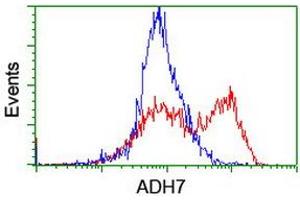 HEK293T cells transfected with either RC224304 overexpress plasmid (Red) or empty vector control plasmid (Blue) were immunostained by anti-ADH7 antibody (ABIN2455873), and then analyzed by flow cytometry.