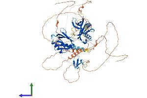 AlphaFold protein structure predicition of Mouse Recombinant Apbb1 Protein, UniprotID Q9QXJ1