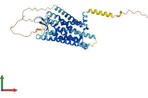 AlphaFold protein structure predicition of Mouse Recombinant Oprk1 Protein, UniprotID P33534 (OPRK1 Protein (AA 1-380) (His tag))