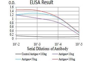 Black line: Control Antigen (100 ng);Purple line: Antigen (10ng); Blue line: Antigen (50 ng); Red line:Antigen (100 ng) (UHRF1 antibody  (AA 616-755))