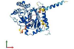 AlphaFold protein structure predicition of Human Recombinant B3GNT8 Protein, UniprotID Q7Z7M8 (B3GNT8 Protein (AA 1-397) (His tag))