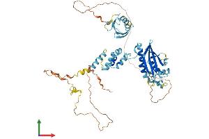 AlphaFold protein structure predicition of Human Recombinant FBXO7 Protein, UniprotID Q9Y3I1