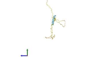 AlphaFold protein structure predicition of Human Recombinant TCEAL6 Protein, UniprotID Q6IPX3 (TCEAL6 Protein (AA 1-200) (His tag))