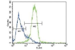 GATA4 antibody flow cytometric analysis of HepG2 cells (green) compared to a negative control (blue). (GATA4 antibody  (AA 298-328))