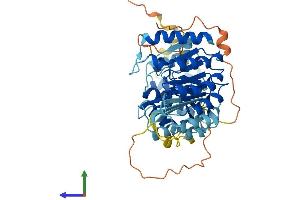 AlphaFold protein structure predicition of Human Recombinant PRAMEF10 Protein, UniprotID O60809 (PRAMEF10 Protein (AA 1-474) (His tag))