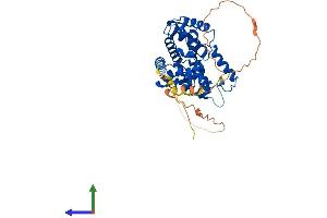 AlphaFold protein structure predicition of Human Recombinant CCNE1 Protein, UniprotID P24864 (Cyclin E1 Protein (CCNE1) (AA 1-410) (His tag))